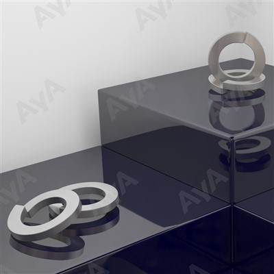 Stainless Spring Washer